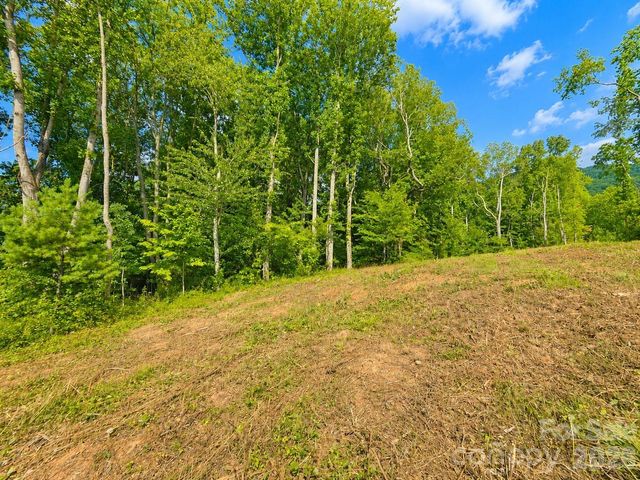 271 Sorrells Cove Road C2, Waynesville, NC 28786