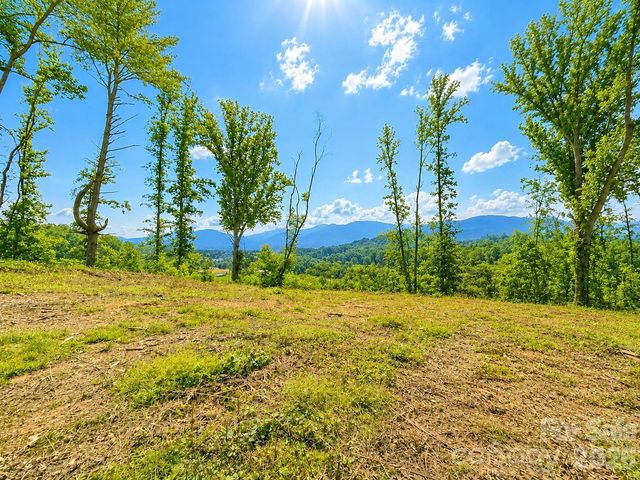 271 Sorrells Cove Road C2, Waynesville, NC 28786
