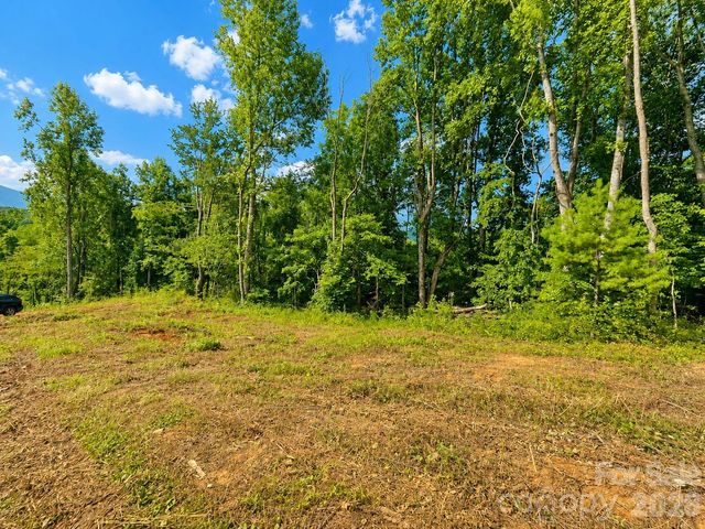 271 Sorrells Cove Road C2, Waynesville, NC 28786