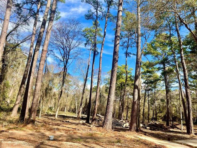 11253 Greenway Drive, Plantersville, TX 77363
