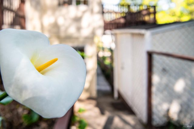 138 Miramar Ave, San Rafael, CA 94901