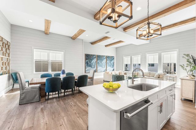 35 Cote D Azur Drive, Santa Rosa Beach, FL 32459