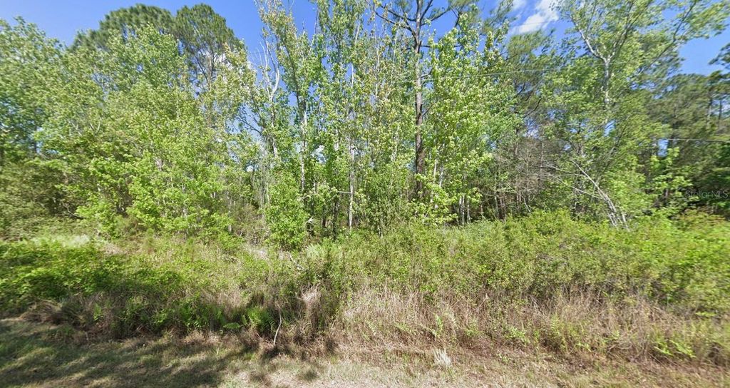 210 REDWOOD BOULEVARD, Georgetown, FL 32139