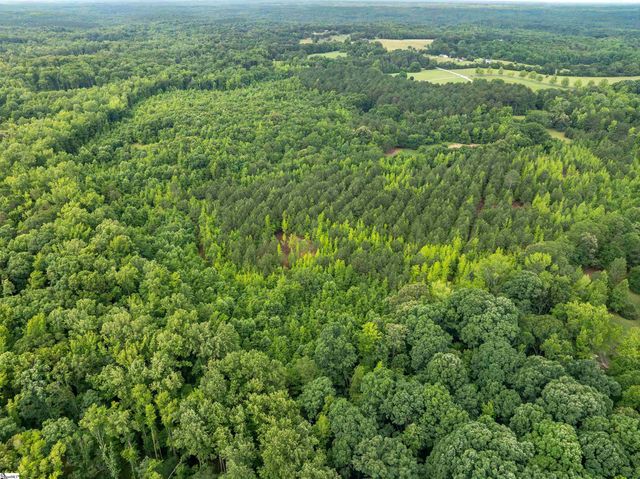 00 Terry Road Lot 3, Fountain Inn, SC 29644