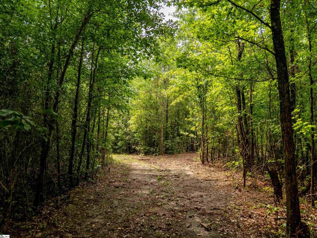 00 Terry Road Lot 3, Fountain Inn, SC 29644