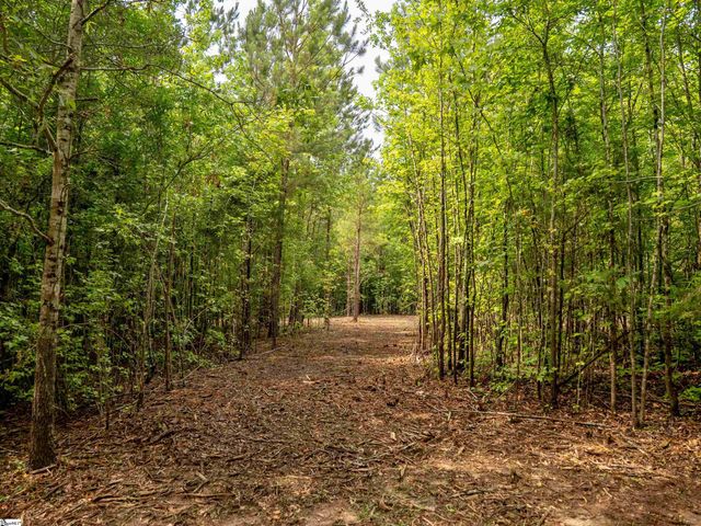 00 Terry Road Lot 3, Fountain Inn, SC 29644