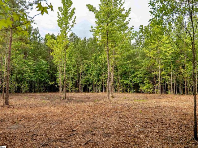 00 Terry Road Lot 3, Fountain Inn, SC 29644