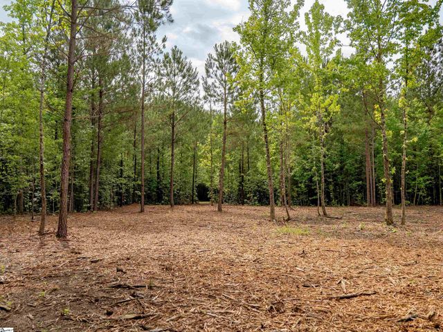 00 Terry Road Lot 3, Fountain Inn, SC 29644