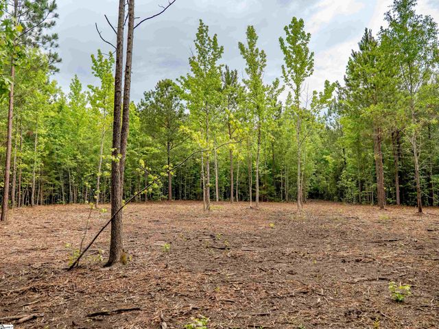 00 Terry Road Lot 3, Fountain Inn, SC 29644
