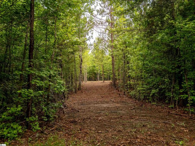 00 Terry Road Lot 3, Fountain Inn, SC 29644