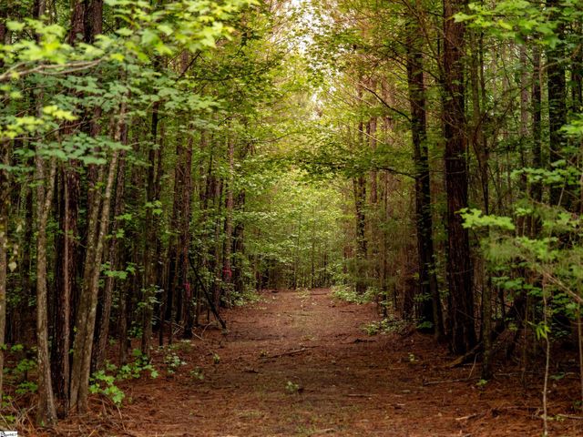 00 Terry Road Lot 3, Fountain Inn, SC 29644