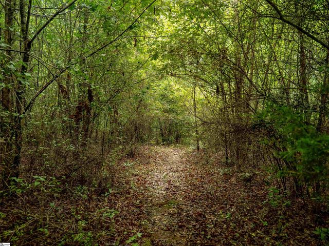 00 Terry Road Lot 3, Fountain Inn, SC 29644