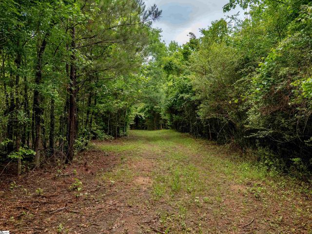 00 Terry Road Lot 3, Fountain Inn, SC 29644