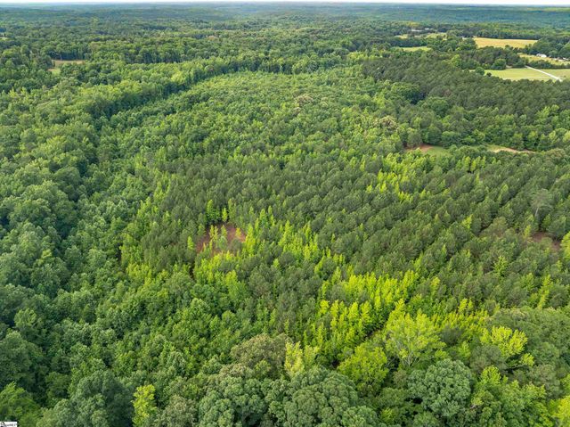 00 Terry Road Lot 3, Fountain Inn, SC 29644