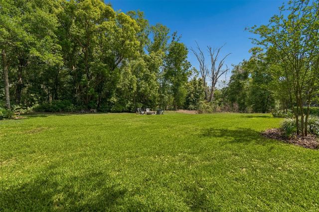 17001 MIDAS LANE, Lutz, FL 33549