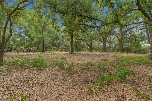 17001 MIDAS LANE, Lutz, FL 33549