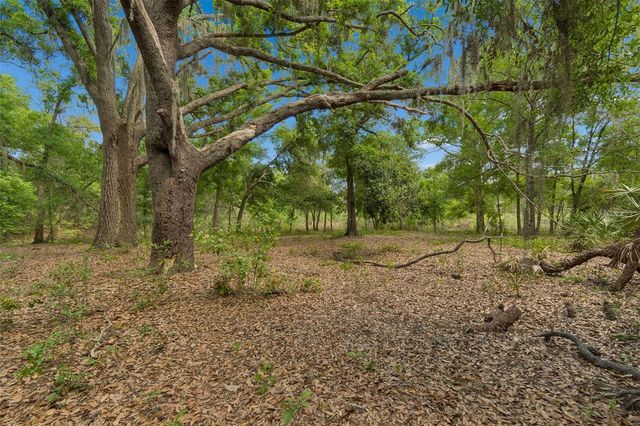 17001 MIDAS LANE, Lutz, FL 33549