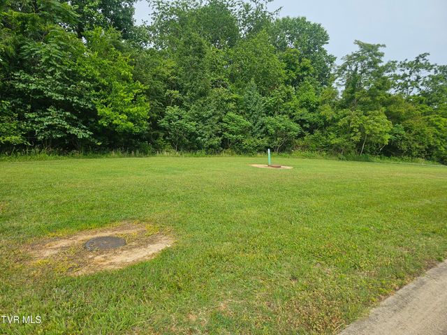 Lot 20 Bedford Circle, Greeneville, TN 37743
