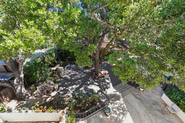 225 Virginia Avenue 3D, San Mateo, CA 94402