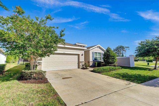 11925 CROSS VINE DRIVE, Riverview, FL 33579