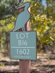 1602 Dayflower Drive, Panama City Beach, FL 32413