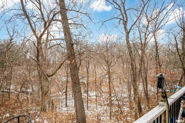 11718 W Hickory Springs Drive, Brimfield, IL 61517