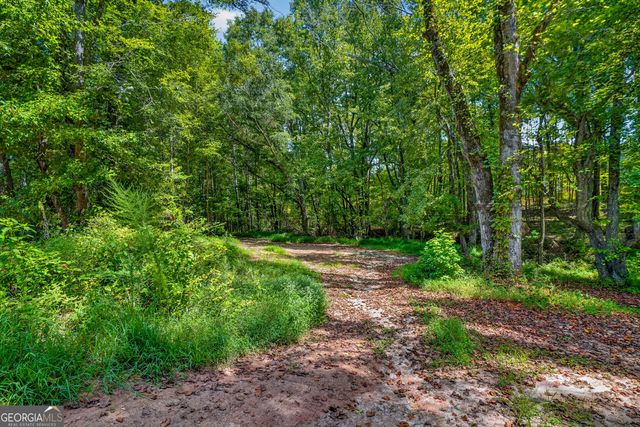 450 Ashley Glen Drive, Williamson, GA 30292
