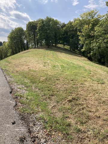 410 Wilson Circle, Smithville, TN 37166
