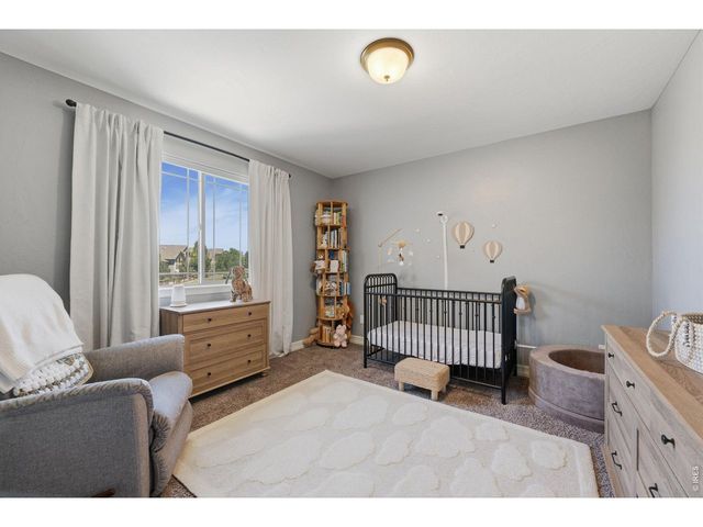 4147 Carroway Seed Dr, Johnstown, CO 80534