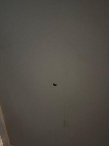 4303 Chestergate Drive, Spring, TX 77373