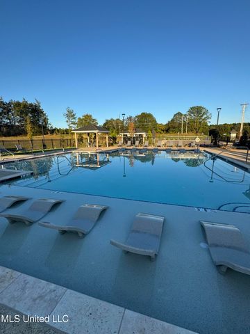 20 Spirit Dance Drive, Byhalia, MS 38611