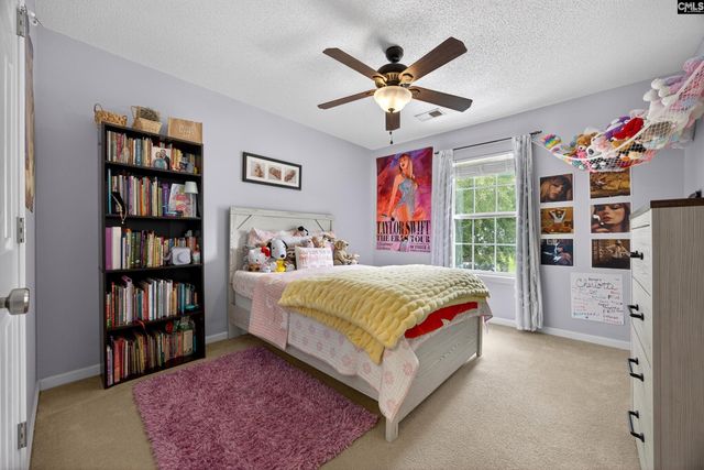 371 Eagle Pointe Drive, Chapin, SC 29036