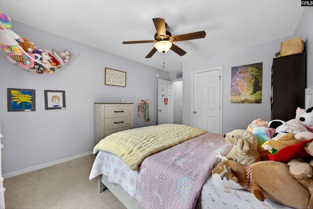 371 Eagle Pointe Drive, Chapin, SC 29036