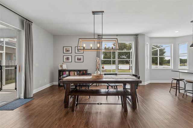 1324 BROOKE VIEW DRIVE, Odessa, FL 33556