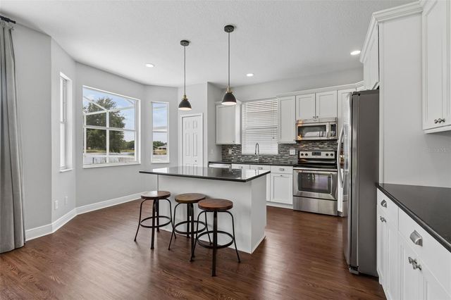 1324 BROOKE VIEW DRIVE, Odessa, FL 33556