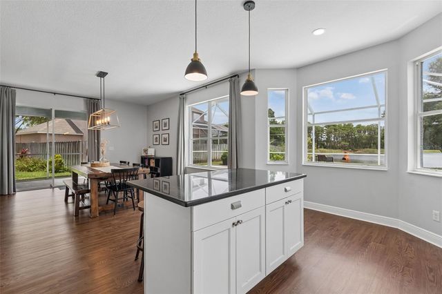 1324 BROOKE VIEW DRIVE, Odessa, FL 33556