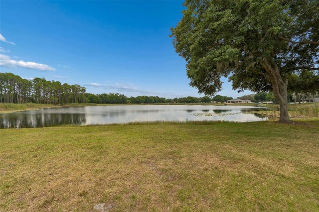 1324 BROOKE VIEW DRIVE, Odessa, FL 33556