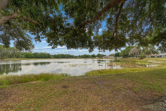 1324 BROOKE VIEW DRIVE, Odessa, FL 33556