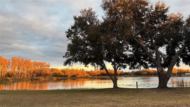 1324 BROOKE VIEW DRIVE, Odessa, FL 33556