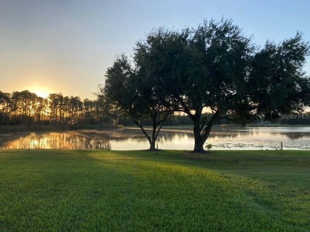 1324 BROOKE VIEW DRIVE, Odessa, FL 33556