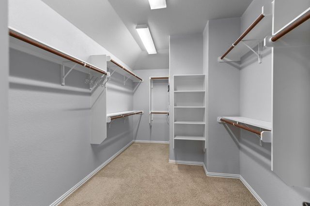 2920 Dusty Chisolm TRL, Pflugerville, TX 78660