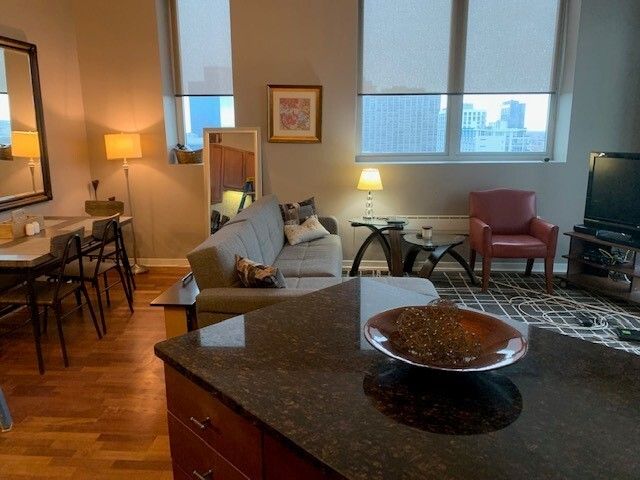 1600 S Indiana Avenue 1310, Chicago, IL 60616