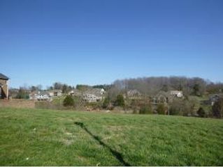 205 Forest Court, Blountville, TN 37617