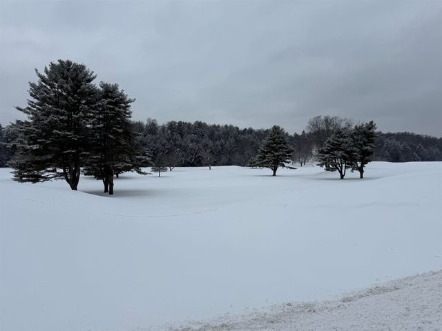 119 Town Farm Road, Brandon, VT 05733