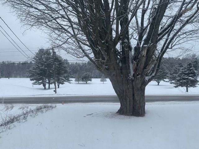 119 Town Farm Road, Brandon, VT 05733