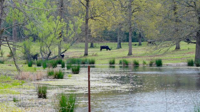 22564 US Highway 69 N, Mineola, TX 75773