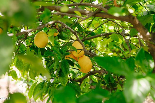 1504 Oneonta Knoll, South Pasadena, CA 91030