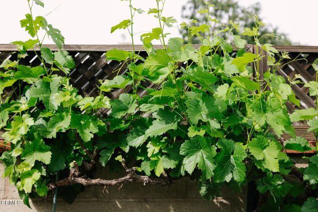 1504 Oneonta Knoll, South Pasadena, CA 91030