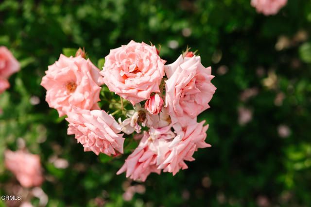 1504 Oneonta Knoll, South Pasadena, CA 91030