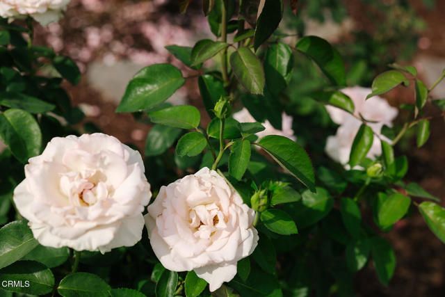 1504 Oneonta Knoll, South Pasadena, CA 91030